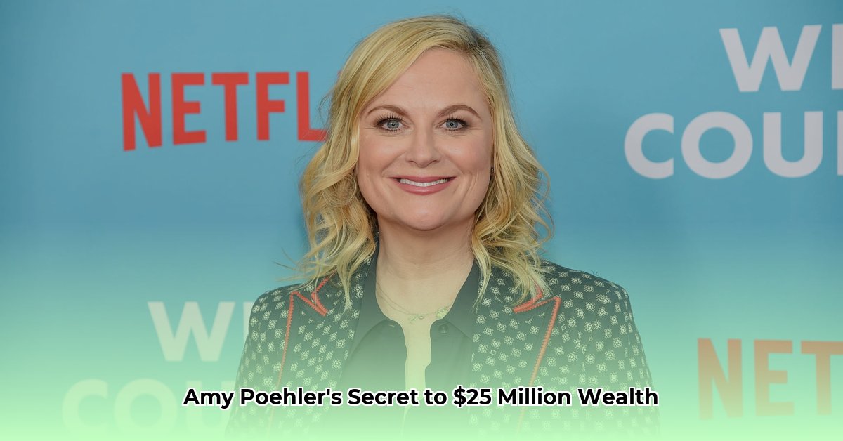 net worth of amy poehler